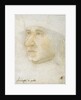 Portrait of Louis Malet de Graville, Admiral of France by Anonymous