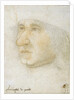 Portrait of Louis Malet de Graville, Admiral of France by Anonymous