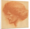 Portrait of the pianist, composer and politician Ignacy Jan Paderewski by Anonymous
