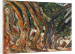 Les platanes à Céret by Anonymous