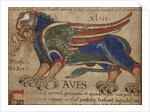 Miniature from the Manuscript Liber Floridus by Anonymous