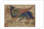 Miniature from the Manuscript Liber Floridus by Anonymous