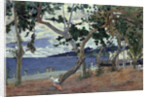 At the seashore, Martinique by Anonymous