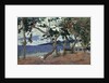 At the seashore, Martinique by Anonymous