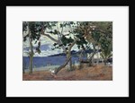 At the seashore, Martinique by Anonymous
