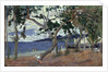 At the seashore, Martinique by Anonymous