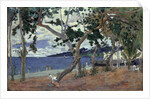 At the seashore, Martinique by Anonymous