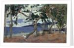 At the seashore, Martinique by Anonymous