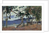 At the seashore, Martinique by Anonymous