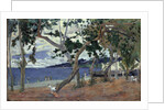 At the seashore, Martinique by Anonymous