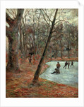 Skaters in the Frederiksberg Park by Anonymous