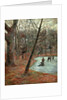 Skaters in the Frederiksberg Park by Anonymous
