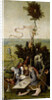 The Ship of Fools by Anonymous