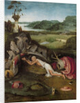 Saint Jerome in the Wilderness by Anonymous