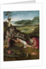 Saint Jerome in the Wilderness by Anonymous