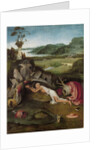 Saint Jerome in the Wilderness by Anonymous