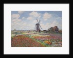 Tulip fields in Holland (Champs de tulipes en Hollande) by Anonymous