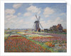 Tulip fields in Holland (Champs de tulipes en Hollande) by Anonymous