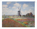 Tulip fields in Holland (Champs de tulipes en Hollande) by Anonymous