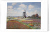 Tulip fields in Holland (Champs de tulipes en Hollande) by Anonymous