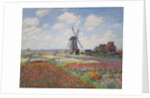 Tulip fields in Holland (Champs de tulipes en Hollande) by Anonymous