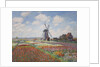 Tulip fields in Holland (Champs de tulipes en Hollande) by Anonymous