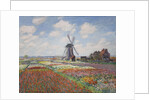 Tulip fields in Holland (Champs de tulipes en Hollande) by Anonymous