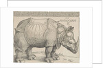 The Rhinoceros by Anonymous