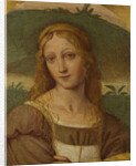 Female figure by Anonymous