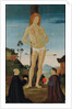 Saint Sebastian by Anonymous