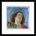 Head Of A Young Apostle by Anonymous