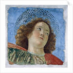 Head Of A Young Apostle by Anonymous