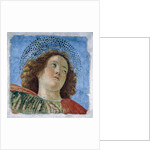 Head Of A Young Apostle by Anonymous