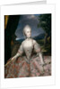 Portrait of Maria Carolina of Austria by Anonymous