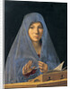 Virgin Annunciate by Anonymous