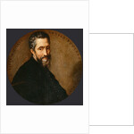 Portrait of Michelangelo Buonarroti by Anonymous