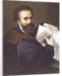 Portrait of Michelangelo Buonarroti by Anonymous