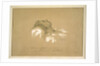 Chopin on His Deathbed by Anonymous