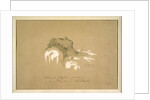 Chopin on His Deathbed by Anonymous
