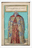 Portrait of Baron Sigmund von Herberstein, Ambassador in Poland and Russia by Anonymous