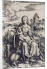Madonna with the Monkey by Anonymous