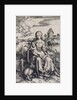 Madonna with the Monkey by Anonymous
