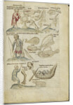 Liber Astrologiae by Anonymous