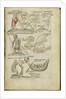 Liber Astrologiae by Anonymous