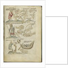 Liber Astrologiae by Anonymous