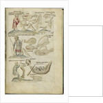 Liber Astrologiae by Anonymous