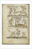 Liber Astrologiae by Anonymous
