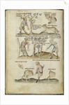 Liber Astrologiae by Anonymous
