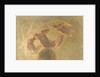 Dance of the Hours (Danza delle ore) by Anonymous