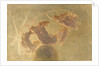 Dance of the Hours (Danza delle ore) by Anonymous
